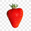 草莓果实图片