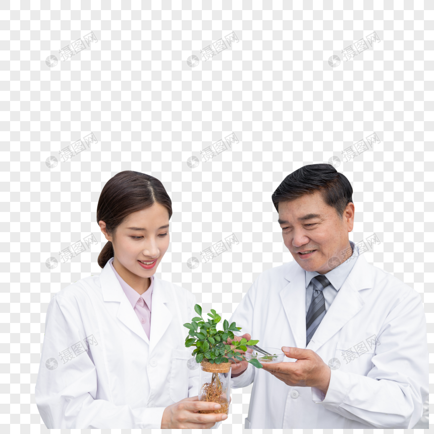 手捧植物幼苗的农业培育科学家图片