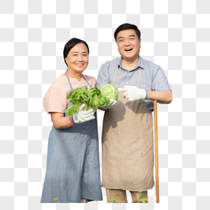 手捧蔬菜的农民夫妇图片