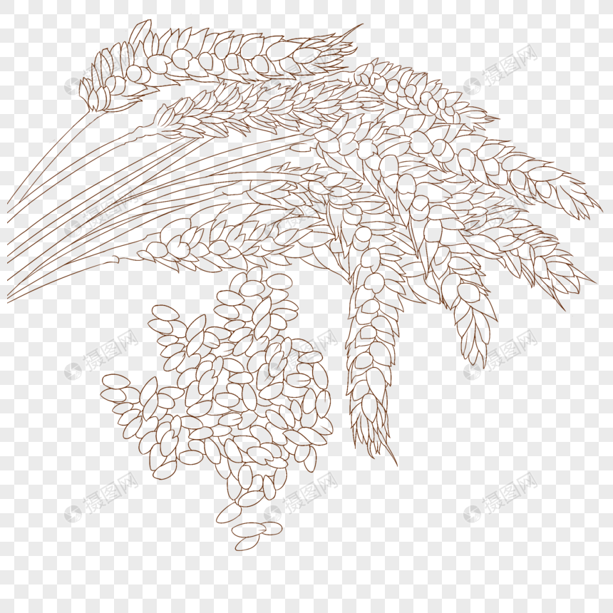 麦子简笔画