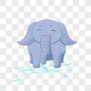 玩水的大象图片