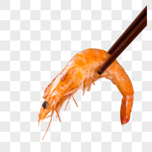 筷子夹起熟虾图片