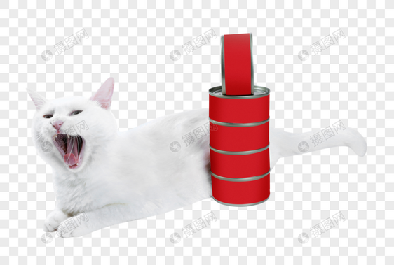 宠物用品猫罐头图片