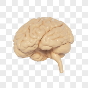 大脑脑子元素高清图片