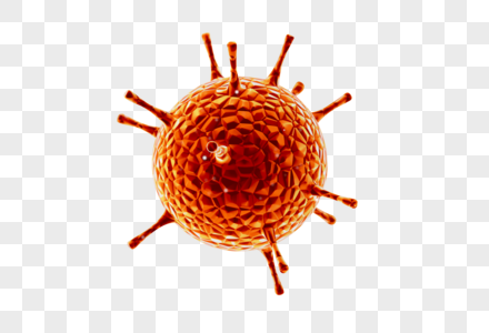 细菌病毒生物模型高清图片
