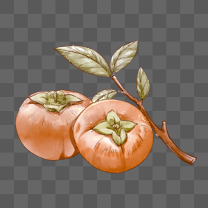 写实水彩柿子图片