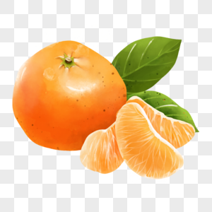 橘子与橘子肉高清图片