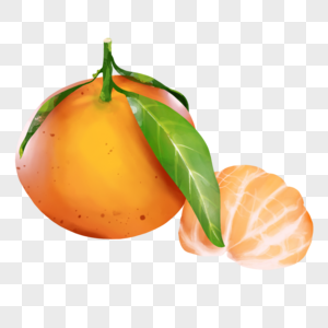 橘子与橘子肉图片