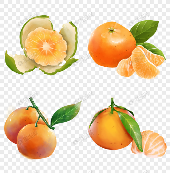 水彩橘子组合图片