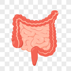 大肠腹部卤大肠高清图片