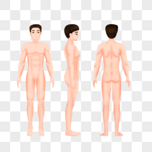 男人人体三视图图片