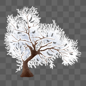 结霜的枯树图片