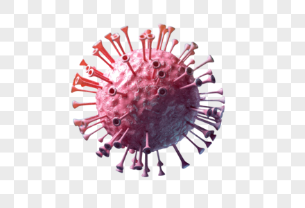 细菌细胞图片