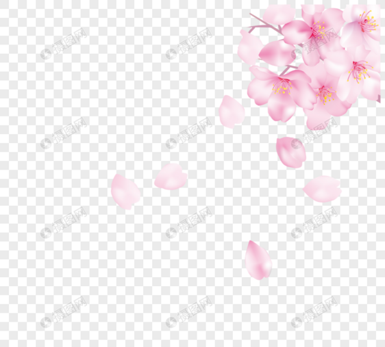 粉色樱花落元素图片
