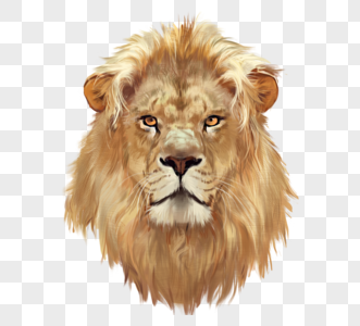 棕色凶悍狮子手绘头像元素高清图片