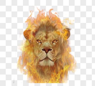 火焰狮子燃烧图元素高清图片
