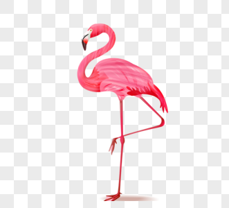 粉色火烈鸟手绘元素高清图片