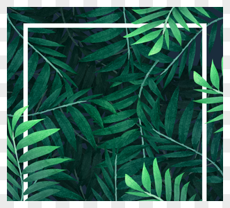 绿色清新热带棕榈叶框架高清图片