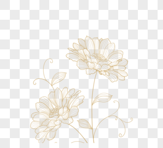金线花植物图片