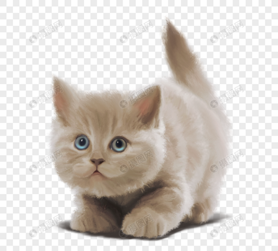 灰色蓝眼睛可爱小猫手绘元素图片