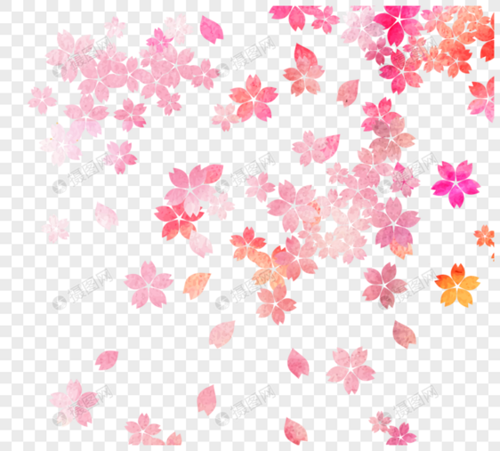 简约粉色水彩日本樱花花瓣春天植物元素图片
