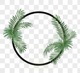 绿色热带植物花圆边框高清图片