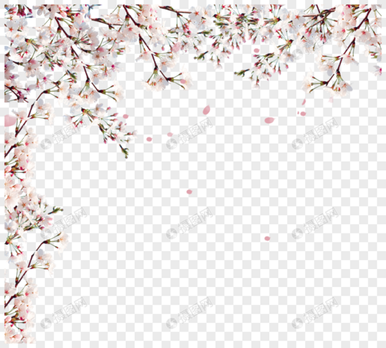 粉色清新樱花边框图片