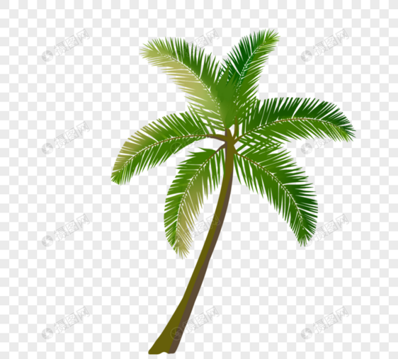 卡通绿色棕榈树图片