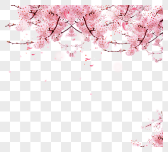 粉色春天樱花边框高清图片
