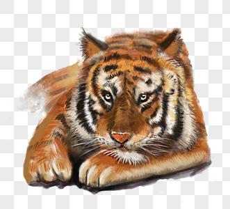 老虎动物手绘元素图片