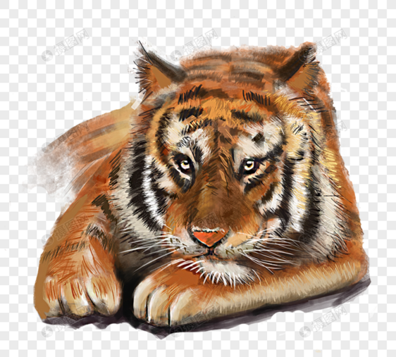 老虎动物手绘元素图片