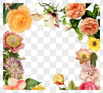 美丽彩色花朵边框元素设计高清图片
