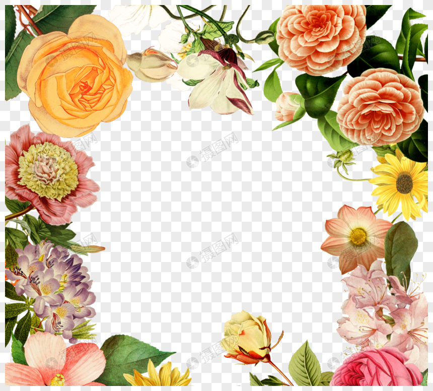 美丽彩色花朵边框元素设计图片