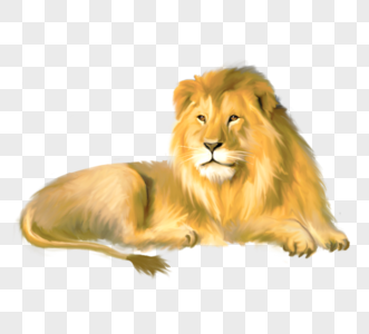 猫动物狮子元素高清图片