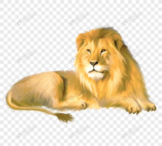 猫动物狮子元素图片