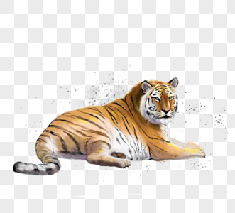 老虎和野兽手绘元素图片