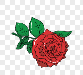 红色玫瑰花朵高清图片