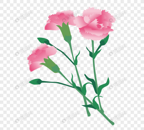 粉色康乃馨花模仿图片