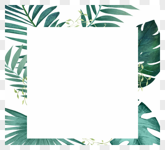 绿色小清新热带棕榈叶边框图片