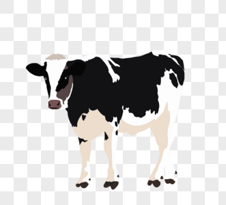 黑白斑点奶牛与手绘卡通风格图片
