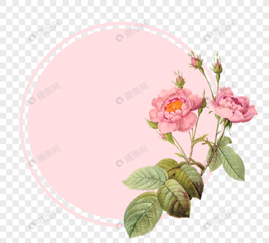 美丽彩色花朵边框元素设计图片