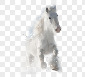 白马跑步元素图片