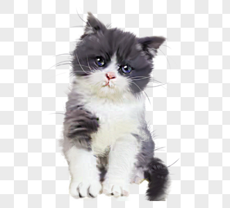 可爱灰色小猫咪手绘元素图片