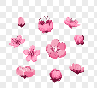 手绘多种朝向形态樱花元素图片