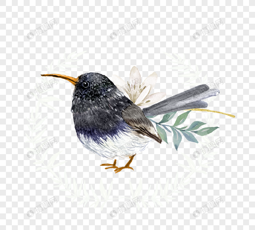 水彩手绘花卉鸟元素图片