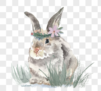 灰色兔子草丛水彩手绘元素图片