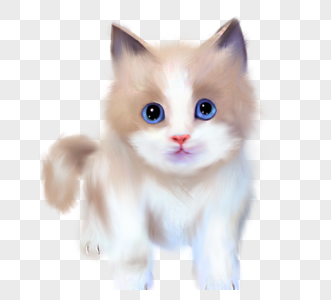 可爱蓝眼睛手绘白猫元素图片