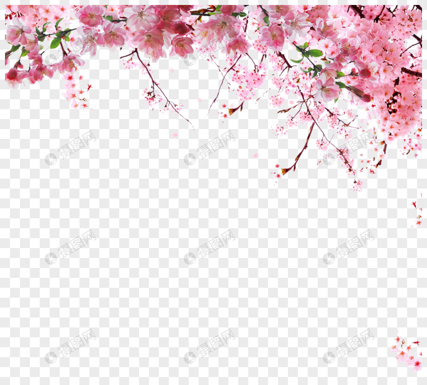 春季清新粉色樱花边框图片