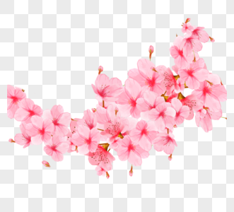 粉色写实卡通春节樱花简单材料高清图片
