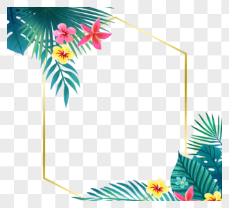 彩色热带植物花卉边框图片